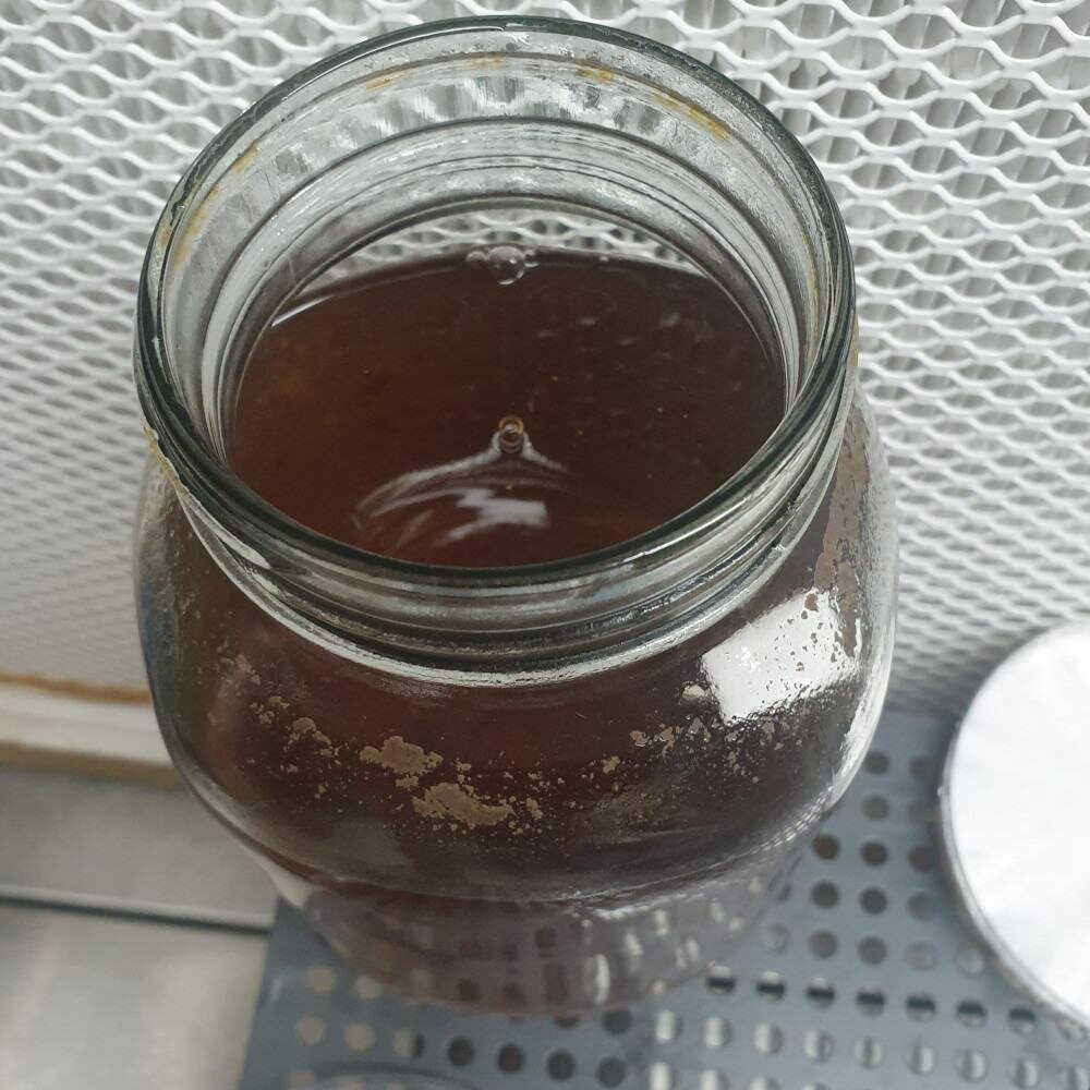 Making Liquid Culture | LC For Mushroom Growing Archers Mushrooms | Mushroom Blogs | Mushroom Growing | Mushroom Tips | Mushroom Business