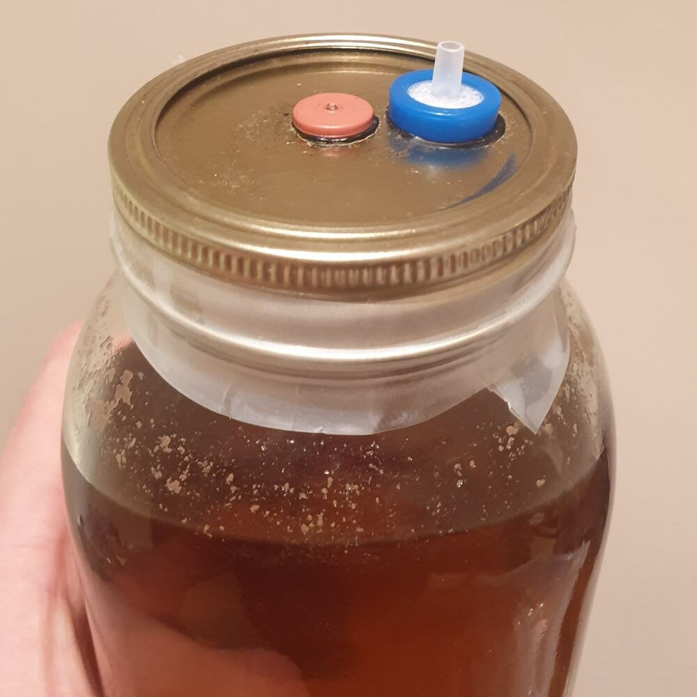 Making Liquid Culture | LC For Mushroom Growing Archers Mushrooms | Mushroom Blogs | Mushroom Growing | Mushroom Tips | Mushroom Business