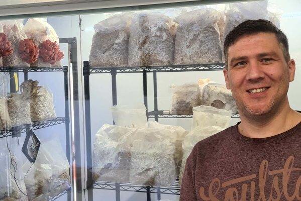 Shoots & Spores Mushroom Shop And Farm | Mushroom Growing | Mushroom Tips | Mushroom Business