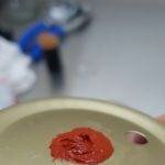 How To Make Grain Spawn Jars or ‘AirPort’ Jars | Archers Mushrooms | Mushroom Blogs | Mushroom Growing | Mushroom Tips | Mushroom Business