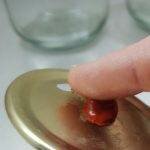 How To Make Grain Spawn Jars or ‘AirPort’ Jars | Archers Mushrooms | Mushroom Blogs | Mushroom Growing | Mushroom Tips | Mushroom Business