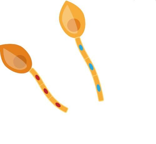 How Do Mushrooms Grow? | Mushroom Growing | Mushroom Blogs | Mushroom Growing | Mushroom Tips | Mushroom Business