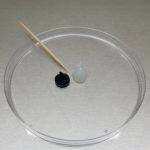 How To Make Grain Spawn Jars or ‘AirPort’ Jars | Archers Mushrooms | Mushroom Blogs | Mushroom Growing | Mushroom Tips | Mushroom Business