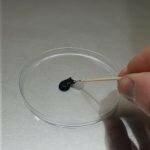 How To Make Grain Spawn Jars or ‘AirPort’ Jars | Archers Mushrooms | Mushroom Blogs | Mushroom Growing | Mushroom Tips | Mushroom Business