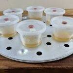 No-Pour Agar Tek | Mushroom Growing | Mushroom Blogs | Mushroom Growing | Mushroom Tips | Mushroom Business