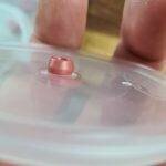 No-Pour Agar Tek | Mushroom Growing | Mushroom Blogs | Mushroom Growing | Mushroom Tips | Mushroom Business