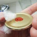 How To Make Grain Spawn Jars or ‘AirPort’ Jars | Archers Mushrooms | Mushroom Blogs | Mushroom Growing | Mushroom Tips | Mushroom Business